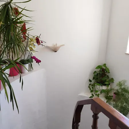 Amar Mar * فيلا دو بيسبو