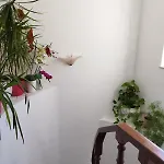 Amar Mar * 维拉多比斯坡